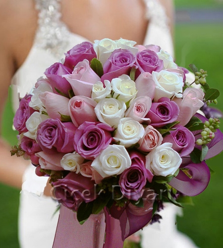 Gelin Eli Bukletleri